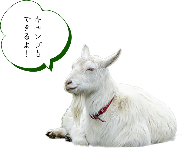 キャンプもできるよ！
