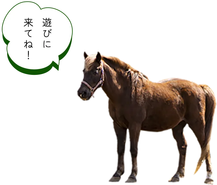 遊びに来てね！